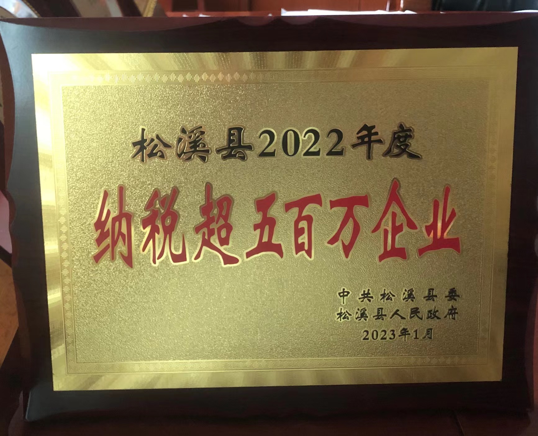 喜報(bào)！易順建工集團(tuán)喜獲“松溪縣2022年度納稅超五百萬企業(yè)”榮譽(yù)